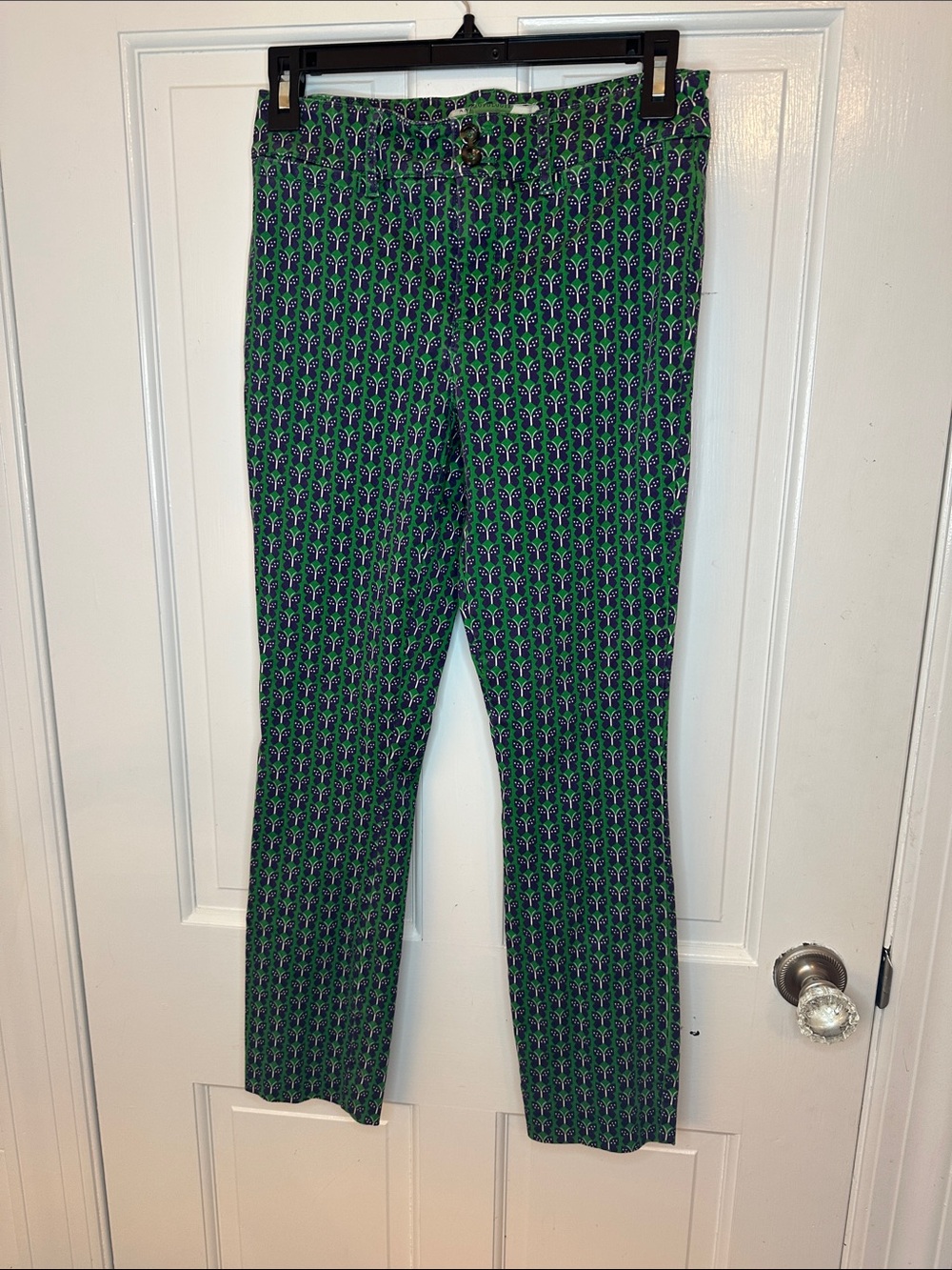Anthropologie Green and Navy Butterfly Print Pants size 2 EUC